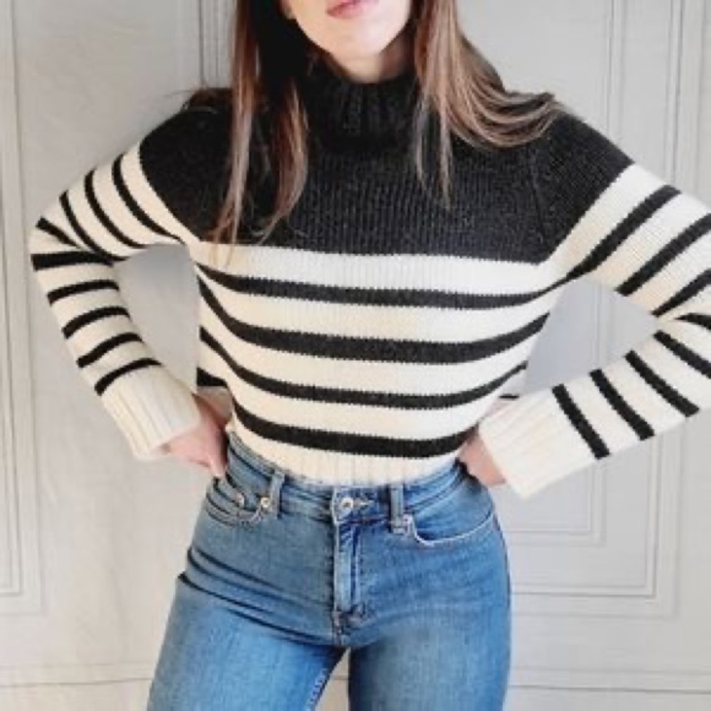 Zara Stripped Turtleneck Cropped